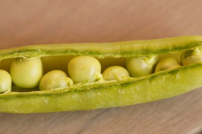 Bieten wir auch einzelne Leistungen an? Kunden fragen zu unseren Leistungen.